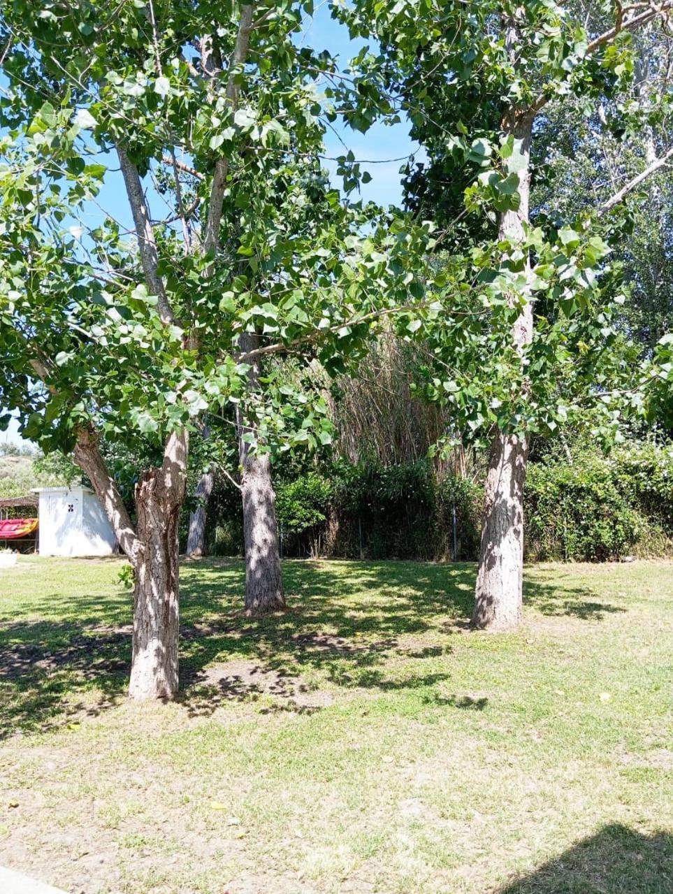Villa Elena Ormos Panagias Exteriör bild